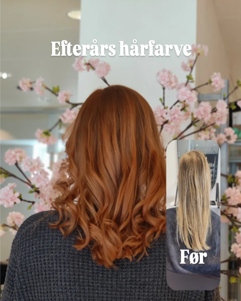 IMG_20241005_161828_895